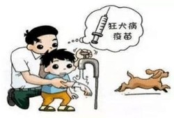 狂犬疫苗会影响胎儿吗（小孩打狂犬疫苗有副作用么）