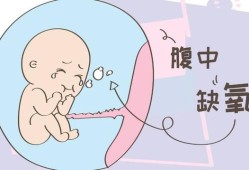 胎儿在宫内为什么会缺氧（什么情况下宝宝会缺氧啊）