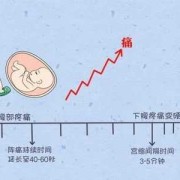 胎儿发动前有什么预兆（生孩子发作之前的征兆是什么）