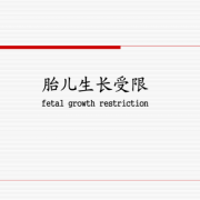 ppt受限禁止播放怎么打开,胎儿生长受限ppt课件免费
