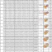 1-40周胎儿发育情况,40周胎儿发育标准数据
