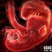 孕期第五个月（孕期第五个月宝宝的在肚子里的状态）