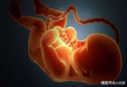 胎儿为什么总是趴着（11个月婴儿为什么喜欢趴着动）