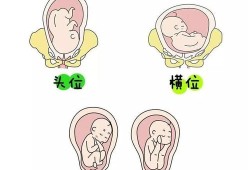 胎宝宝打嗝位置与胎位有关系吗，胎儿打嗝的原因是,胎儿打嗝判断胎位图解