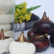 孕期能吃马蹄（孕期能吃马蹄荸荠吗）