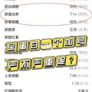孕期尿蛋白1个加号（孕期尿蛋白1个加号正常吗）