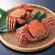 怀孕期间吃螃蟹（孕妇能不能吃臻子？孕妇吃哪些食物会影响胎儿发育）