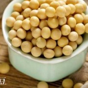 孕期可以吃黄豆吗（高血压糖尿病可以吃黄豆吗）