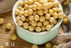 孕期可以吃黄豆吗（高血压糖尿病可以吃黄豆吗）