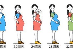 怎样控制孕期体重（孕妇该怎样控制体重的呢?怀孕8个月时候了，到底怎样合理控制体重的呢）