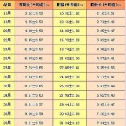 22周胎儿发育情况,22周的胎儿体重应该是多少