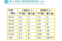 胎儿肠管正常范围（胎儿肠管正常范围是多少）