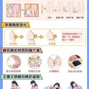孕期乳房过大（哺乳期乳房变大怎么回事）