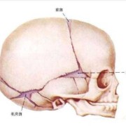 胎儿颅骨缺失会长好吗（颅骨缺损属于几级伤残）