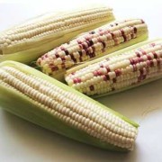 孕妇适合吃糯玉米还是甜玉米,孕期吃糯玉米会血糖高吗