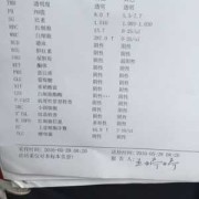 孕期上皮细胞高