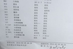 孕期上皮细胞高