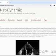 胎儿hc是什么意思（请问胎儿B超中HC,AC,HL是什么意思）