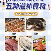 男人备孕期间吃什么好（男人备孕期间吃什么好?）