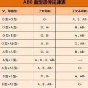 孕期抗b检查（o型血和b型血怀孕初期症状）