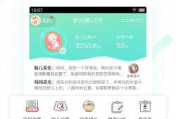 孕期下载什么软件（算孕期的软件哪个好）
