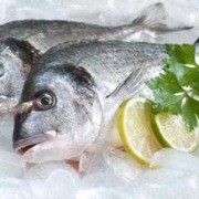 孕期能吃鱼吗（孕期能吃鱼吗早期）