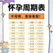女人孕期是多少天（女人孕期是多少天知道）