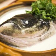 孕期四月（四月龄宝妈可以吃鱼头吗）