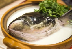 孕期四月（四月龄宝妈可以吃鱼头吗）