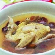 孕期可以吃乳鸽吗（孕期可以吃乳鸽吗有营养吗）