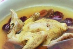 孕期可以吃乳鸽吗（孕期可以吃乳鸽吗有营养吗）