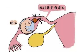 宫腔内出血什么原因,孕期宫内出血的原因有哪些