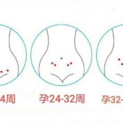 胎儿什么时候有胎心（胎儿几周可以听到胎心）