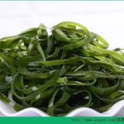 怀孕期间可以吃海带吗（来例假可以吃海带吗）