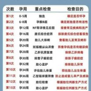 孕期几周生（孕期几周生是最好的）