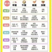 怀孕期营养（怀孕期营养食谱）