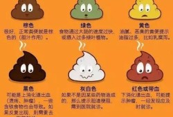 孕期排便正常（孕妇一天去3次大便是正常的吗）