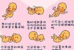 孕33周胎儿发育情况（怀孕33周，一天的胎动在多少下是正常范围）