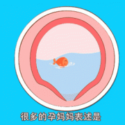 胎儿临产前胎动厉害（接近预产期了宫缩胎儿动的厉害正常吗）