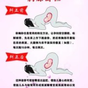 孕期卧位（孕期卧位图）