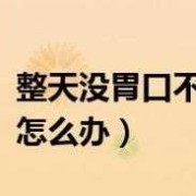 怀孕没胃口怎么办,孕期没胃口不想吃饭怎么办