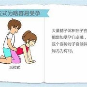 最易受孕期（最易受孕期）