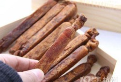 孕期可以吃高丽参吗（怀孕3个多月能不能吃高丽参）