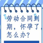 孕期学校（孕期学校不续签合同）