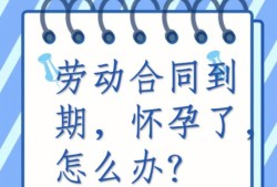 孕期学校（孕期学校不续签合同）