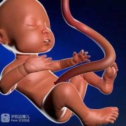 胎儿耐受力（胎儿耐受力差什么意思）