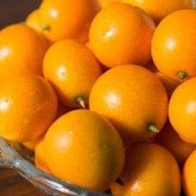 孕期不可以吃的水果（桔子孕妇可以吃吗）
