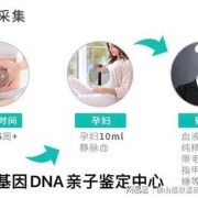 胎儿能做亲子鉴定吗（不带孩子证件可以做亲子鉴定吗）