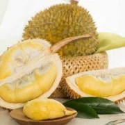 怀孕吃菠萝对胎儿好吗（怀孕吃榴莲对胎儿好吗）
