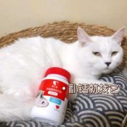 小猫不吃钙片怎么办,孕期不吃钙片对宝宝有影响吗